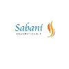 Sabani Consulting, LLC Sabani Consulting, LLC