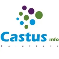 Castus Info Solutions Pvt Ltd
