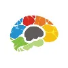 Bigger Brains Bigger Brains