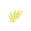 UBN Professional Services UBN Professional Services