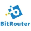 BitRouter BitRouter
