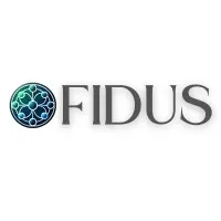 Fidus Synergies LLP