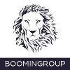BoominGroup BoominGroup