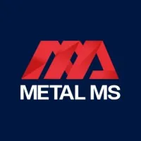 Metal MS