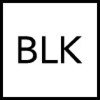 BLKBOX.ai BLKBOX.ai