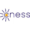CNESS Inc CNESS Inc