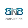 BNB Consulting BNB Consulting
