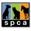 Medina County Spca Medina County Spca