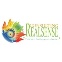 Realsense Consulting