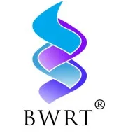 BrainWorking® Recursive Therapy SA