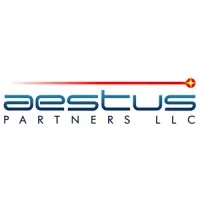 Aestus Partners LLC