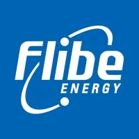 Flibe Energy