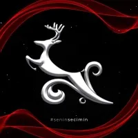 Hacettepe Üniversitesi Kristal Geyik Ödülleri