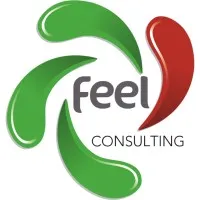 FEEL Consulting FEEL Consulting
