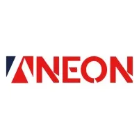 ANEON FEDERAL SOLUTIONS LLC
