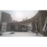 Luxun Academy of Fine Arts Luxun Academy of Fine Arts