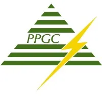 PPN Power Generating Company Private Limited