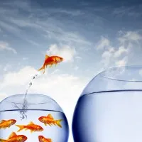 Blue Ocean Ventures Blue Ocean Ventures