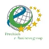 Precision e-Business Group