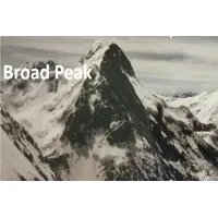 BROAD PEAK INVESTMENT ADVISERS PTE LTD BROAD PEAK INVESTMENT ADVISERS PTE LTD