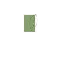 David Rolston Landscape Architects