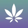 Surterra Wellness Surterra Wellness