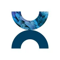 BWD Strategic