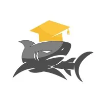 MyndSharks IT Solutions
