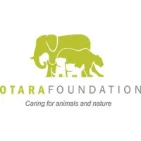 Otara Foundation email format
