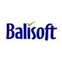 Balisoft Lintasmedia, PT