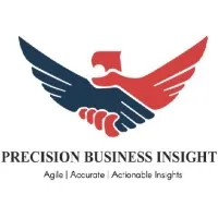 Precision Business Insights Precision Business Insights