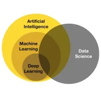 Analytics Circle