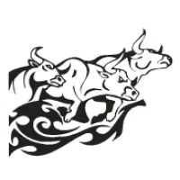 Stampede Electric  