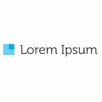 Lorem Ipsum, Professional Services