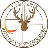 Stagoenix - Digital Marketing & Brand Promotion company