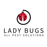 Lady Bugs All Pest Solutions Lady Bugs All Pest Solutions