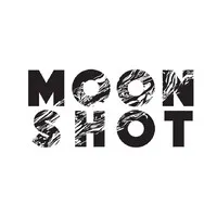 The Moonshot Company The Moonshot Company