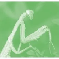 Costello Dismantling Co., Inc.