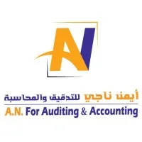 A.N. FOR AUDITING & ACCOUNTING A.N. FOR AUDITING & ACCOUNTING
