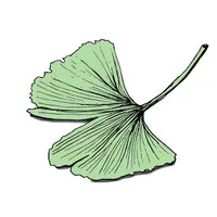 The Mary Parrish Center