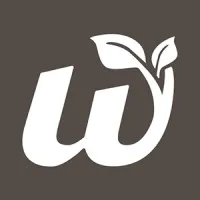 In the Woods In the Woods