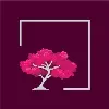 Blossom Consult Blossom Consult