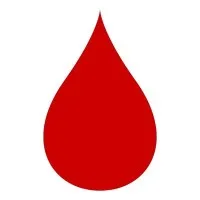 The Leukemia & Lymphoma Society