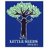 LITTLE SEEDS NGO LITTLE SEEDS NGO
