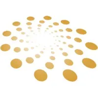 FLFE Innovations Corp., a.k.a. Focused Life-Force Energy