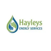 Hayleys Energy Services email format