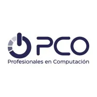 Profesionales en Computación
