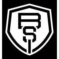 Bingham Services Inc Bingham Services Inc