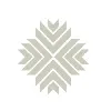NARAYAN INDUSTRIES GLOBAL LIMITED NARAYAN INDUSTRIES GLOBAL LIMITED