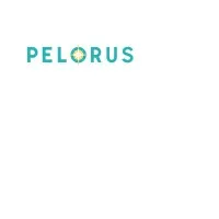Pelorus Health